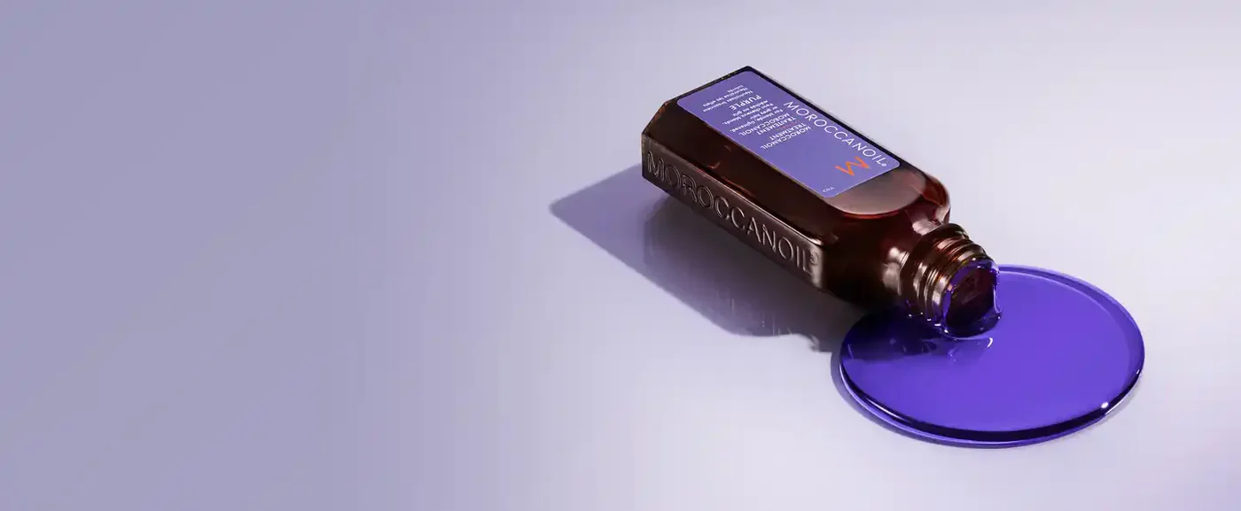 Shop the Best of Everything